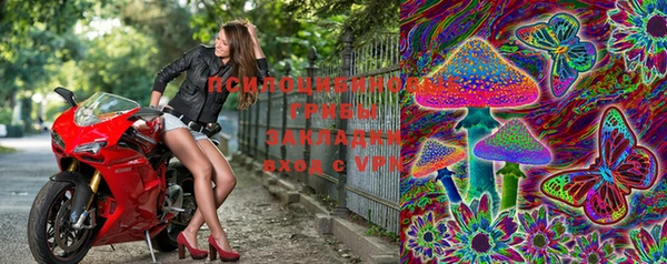 ECSTASY Сосновоборск