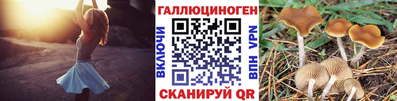 Галлюциногенные грибы Psilocybine cubensis Вяземский